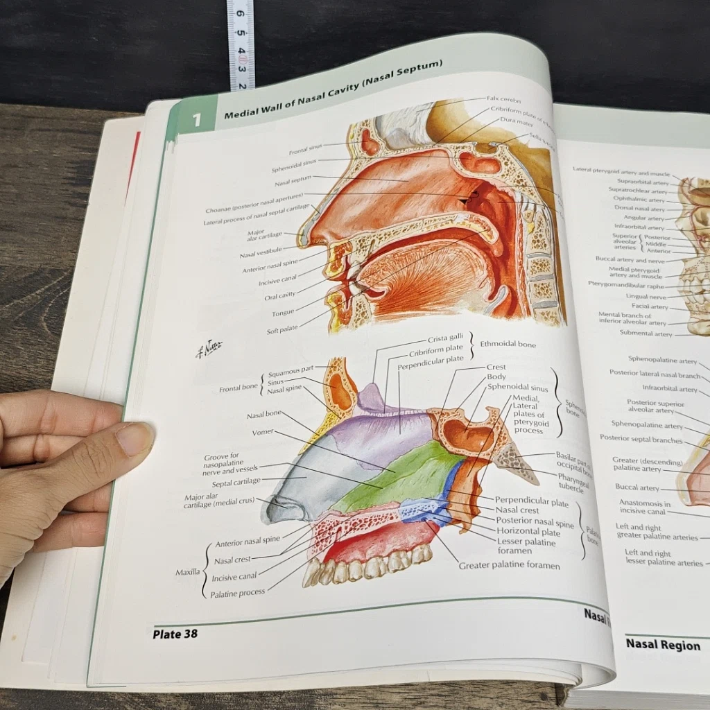 หนังสือ Atlas of Human Anatomy 5th Edition รูปที่ 10