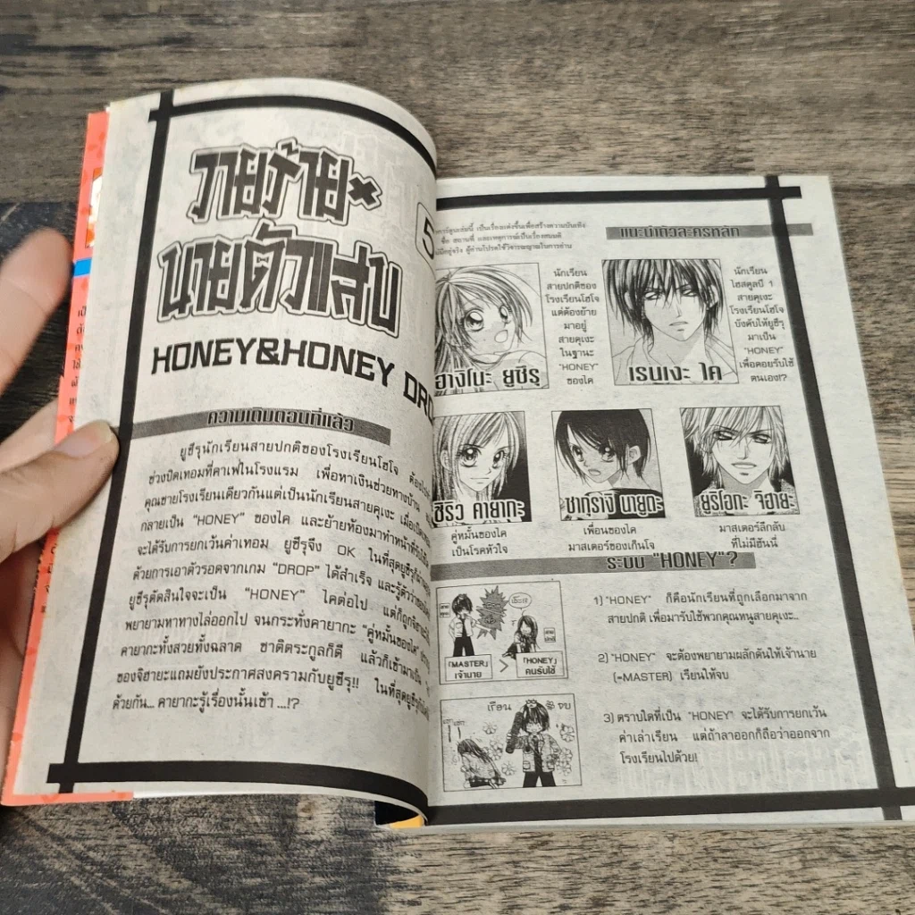 หนังสือ วายร้าย x นายตัวแสบ เล่ม 15 รูปที่ 6