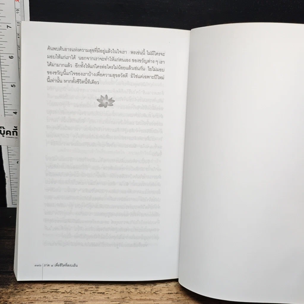 หนังสือ ส่องสว่างทางไท รูปที่ 10