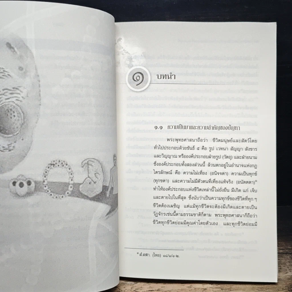 หนังสือ การศึกษาวิเคราะห์ปาณาติบาตในเซลล์มนุษย์และตัวอ่อนมนุษย์ รูปที่ 11
