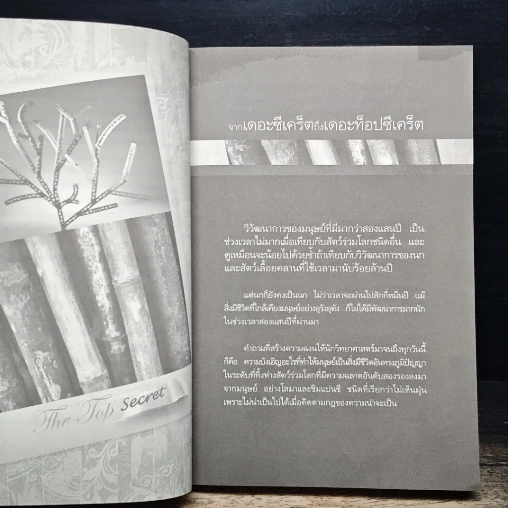 หนังสือ เดอะท็อปซีเคร็ต รูปที่ 8