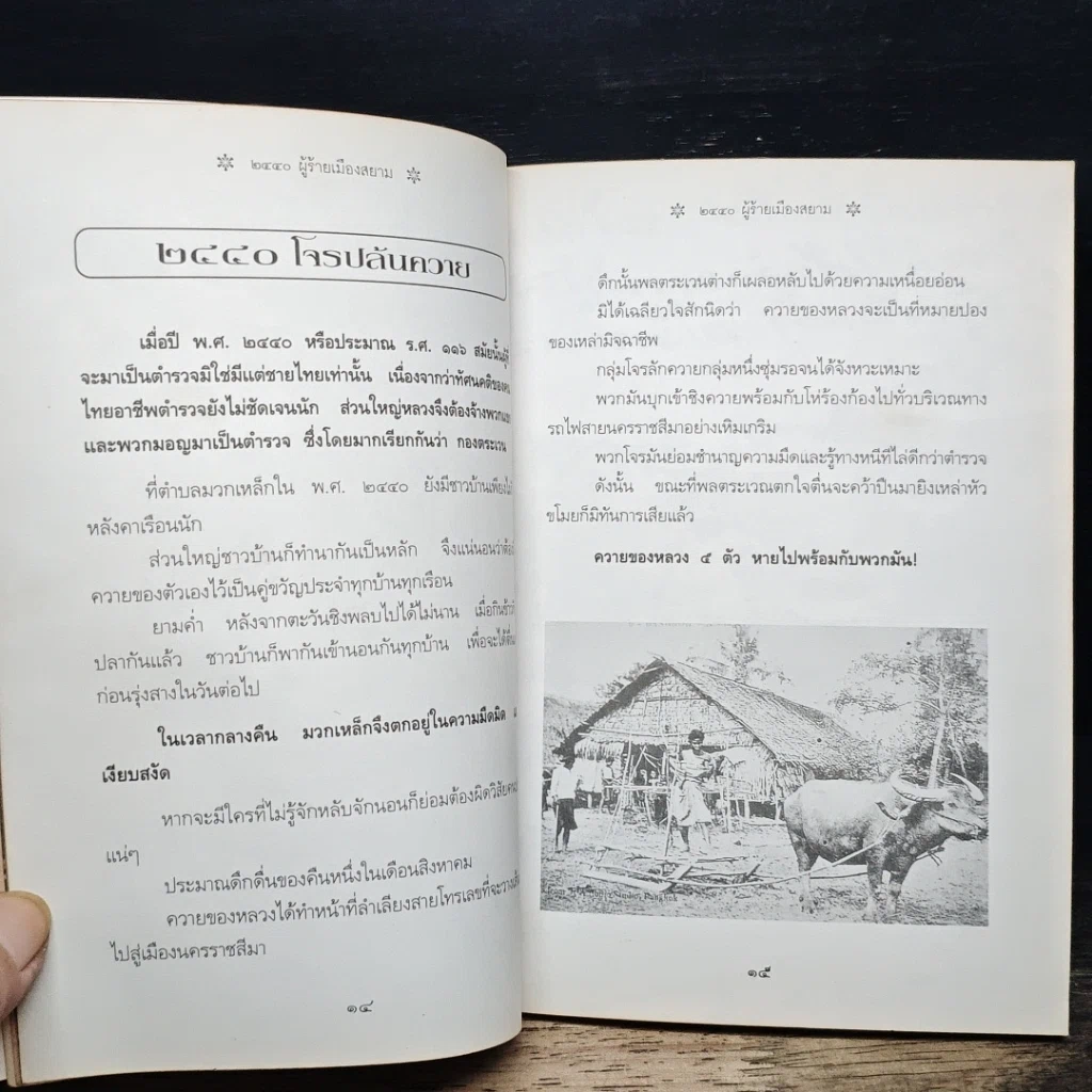 หนังสือ 2440 ผู้ร้ายเมืองสยาม เล่าเรื่องปราบปรามโจรผู้ร้ายสมัย รัชกาลที่ 5 รูปที่ 8