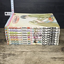 หนังสือ ดิจิทัลเลดี้ 8 เล่มจบ รูปที่ 3