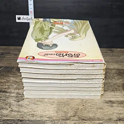 หนังสือ ดิจิทัลเลดี้ 8 เล่มจบ รูปที่ 5