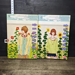 หนังสือ หนุ่มเหงาสาวหวานสายฝันหัวใจ 2 เล่มจบ