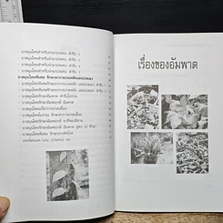 หนังสือ รักษาอัมพาตด้วยสมุนไพร...ได้ผลเกินคาด รูปที่ 8