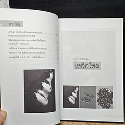 หนังสือ เหล็กไหลมีจริง รูปที่ 8