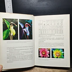 หนังสือ กลวิธีในการถ่ายภาพ ภาค 2 รูปที่ 10