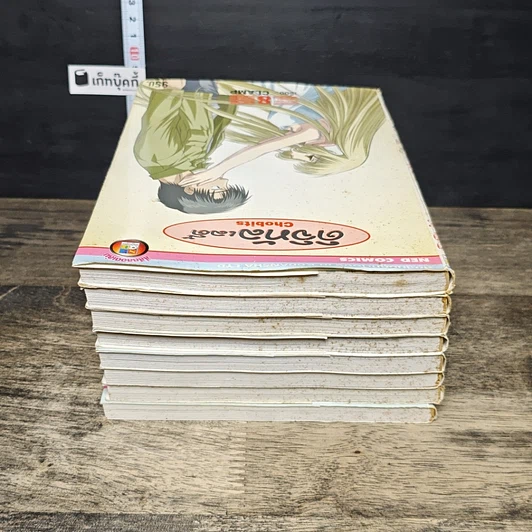 หนังสือ ดิจิทัลเลดี้ 8 เล่มจบ รูปที่ 5