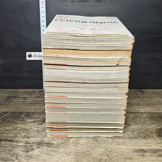 หนังสือ รักนี้มีเพียงเรา 18 เล่มจบ รูปที่ 5