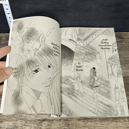 หนังสือ รักนี้มีเพียงเรา 18 เล่มจบ รูปที่ 6