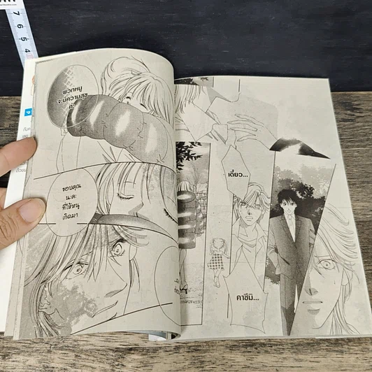 หนังสือ รักนี้มีเพียงเรา 18 เล่มจบ รูปที่ 7