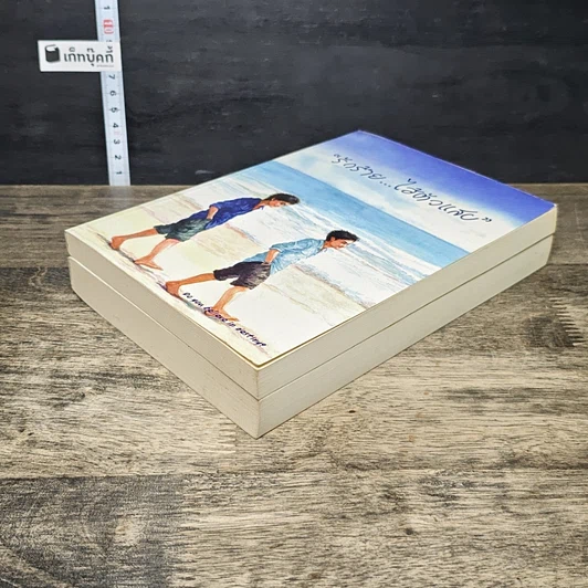 หนังสือ Boxset รักร้าย...ไอ้ตัวแสบ 2 เล่มจบ รูปที่ 3