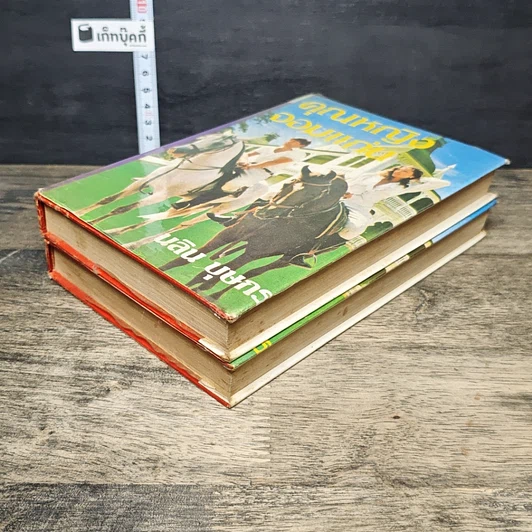 หนังสือ คุณหญิงจอมแก่น 2 เล่มจบ (ปกแข็ง) รูปที่ 4
