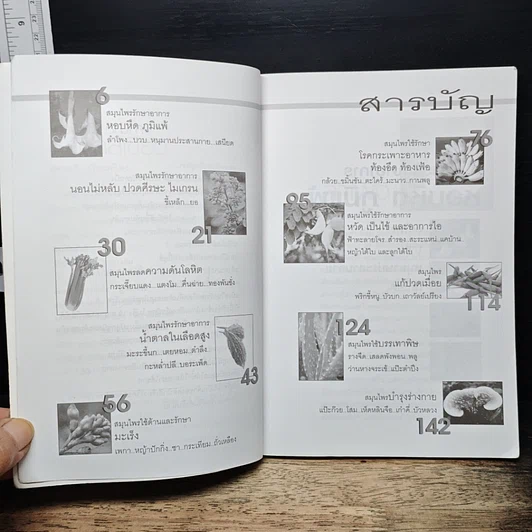 หนังสือ คลินิกสีเขียว รูปที่ 7