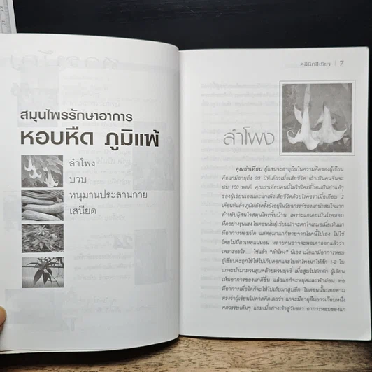 หนังสือ คลินิกสีเขียว รูปที่ 8