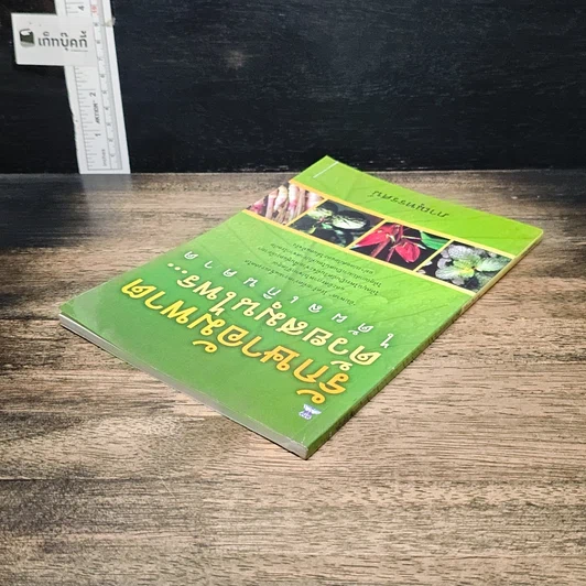 หนังสือ รักษาอัมพาตด้วยสมุนไพร...ได้ผลเกินคาด รูปที่ 5