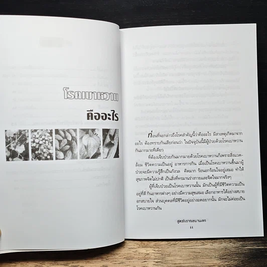 หนังสือ สมุนไพรรักษาเบาหวาน สูตรโบราณขนานเอก รูปที่ 8