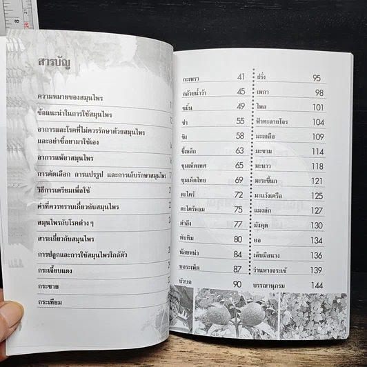 หนังสือ ปลูกและใช้สมุนไพรใกล้ตัว รูปที่ 7