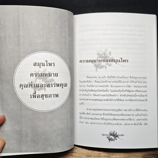 หนังสือ ปลูกและใช้สมุนไพรใกล้ตัว รูปที่ 8