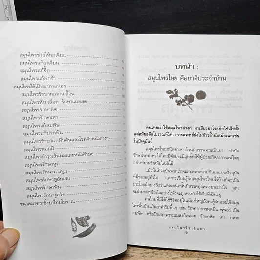 หนังสือ สมุนไพรใช้เป็นยา รูปที่ 8