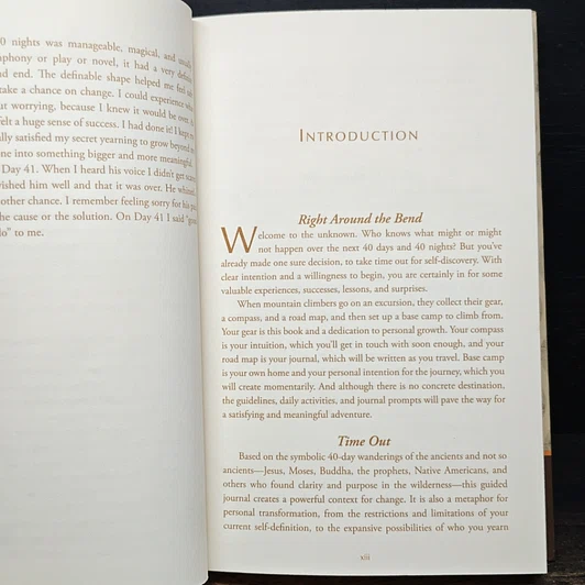 หนังสือ 40 Days and 40 Nights รูปที่ 10