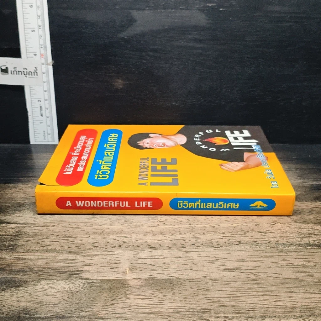 หนังสือ ชีวิตที่แสนวิเศษ รูปที่ 3