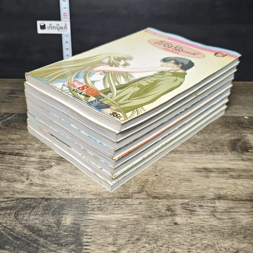 หนังสือ ดิจิทัลเลดี้ 8 เล่มจบ รูปที่ 4