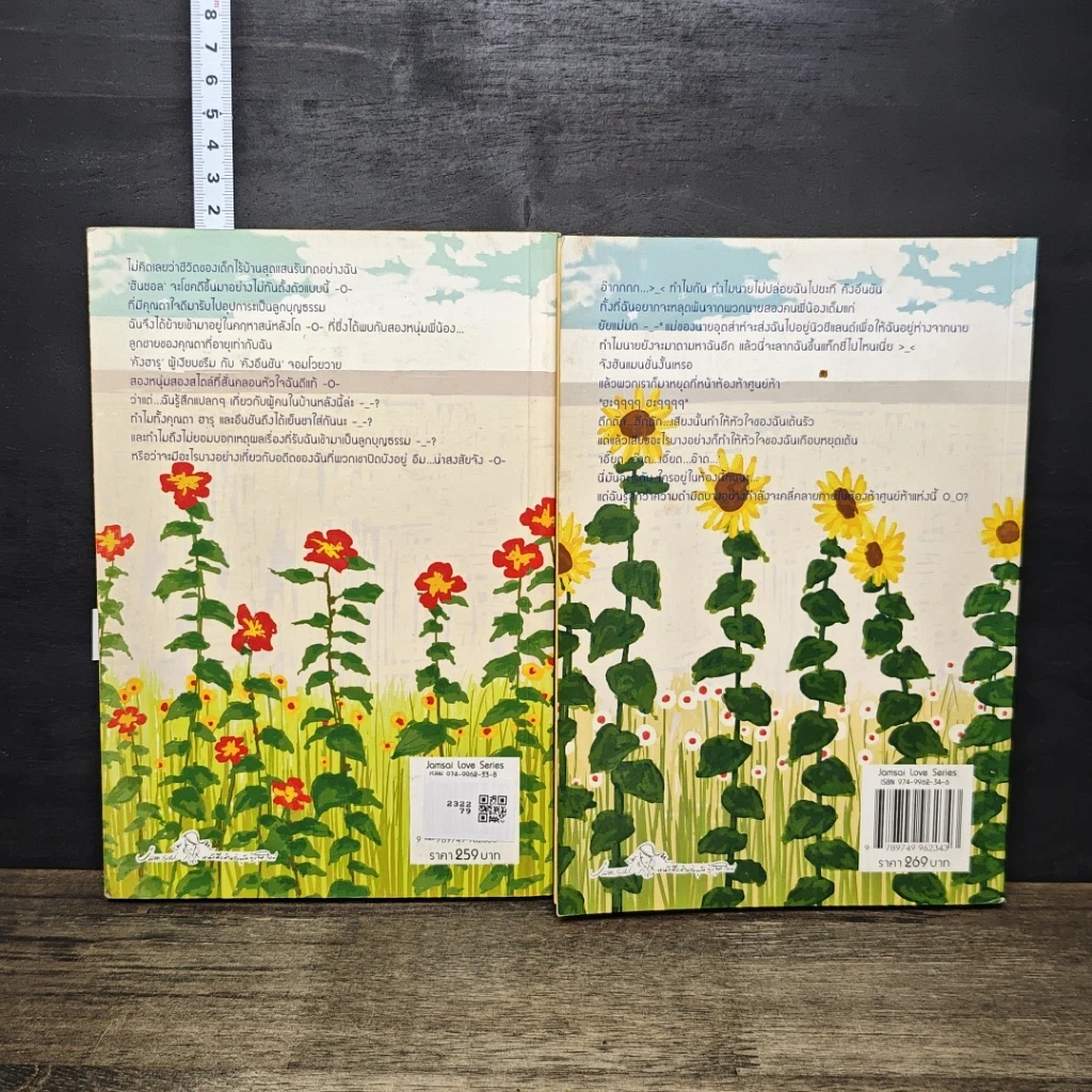 หนังสือ หนุ่มเหงาสาวหวานสายฝันหัวใจ 2 เล่มจบ รูปที่ 2