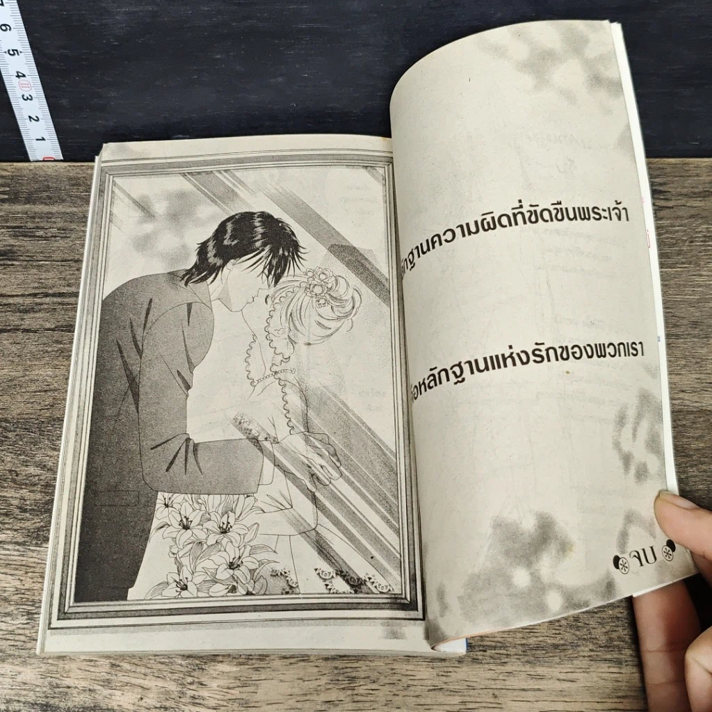 หนังสือ รักนี้มีเพียงเรา 18 เล่มจบ รูปที่ 8