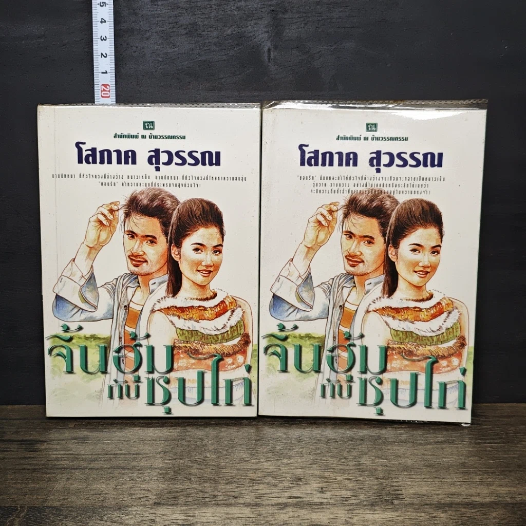 หนังสือ จิ้นฮุ้มกับซุปไก่ 2 เล่มจบ รูปที่ 1