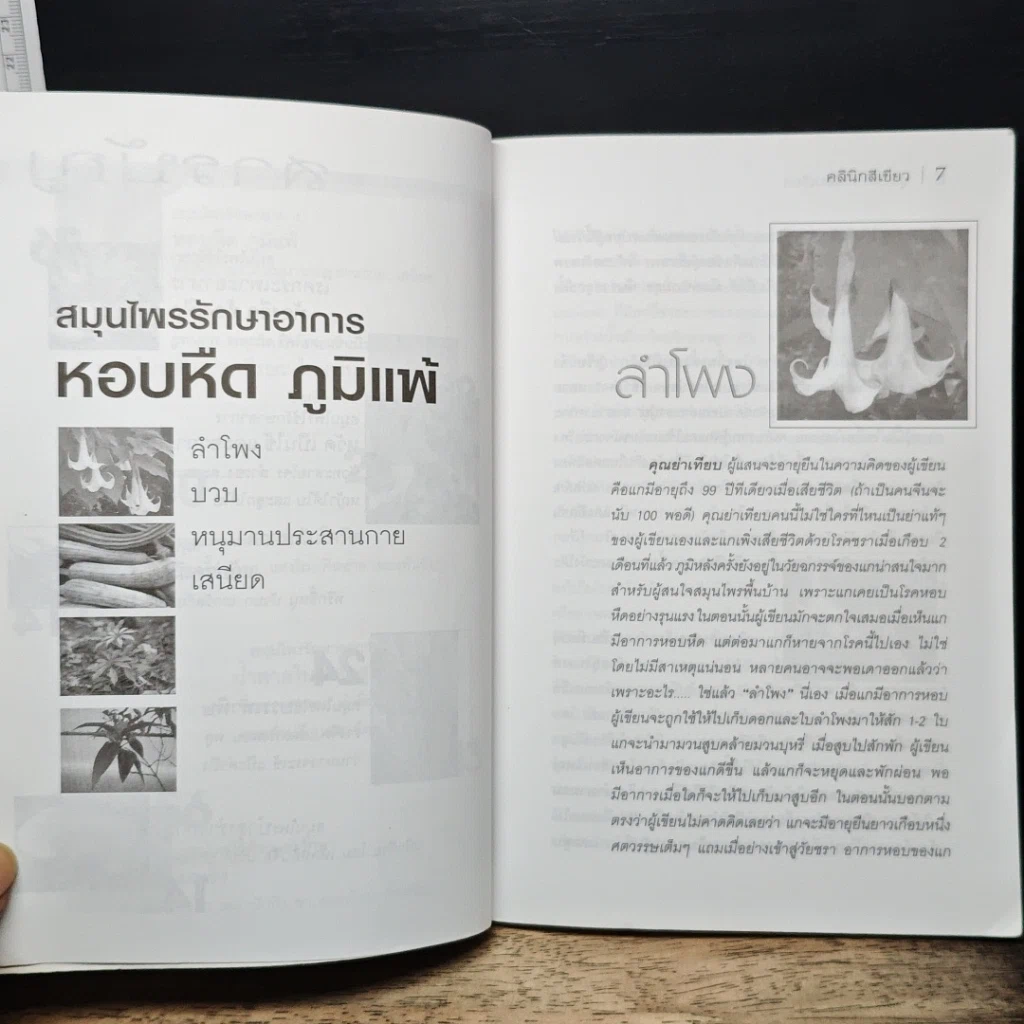 หนังสือ คลินิกสีเขียว รูปที่ 8