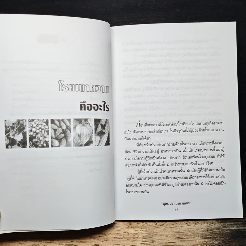 หนังสือ สมุนไพรรักษาเบาหวาน สูตรโบราณขนานเอก รูปที่ 8