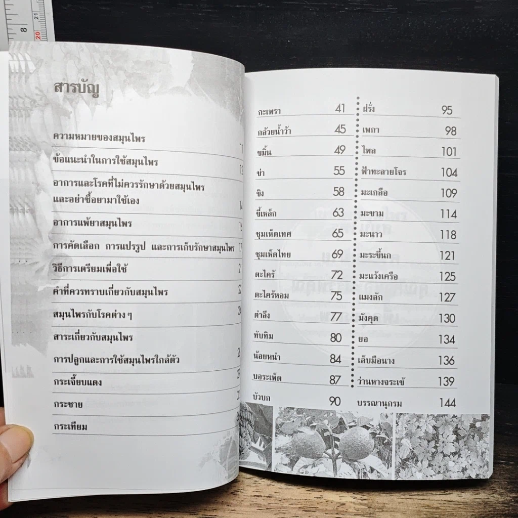 หนังสือ ปลูกและใช้สมุนไพรใกล้ตัว รูปที่ 7
