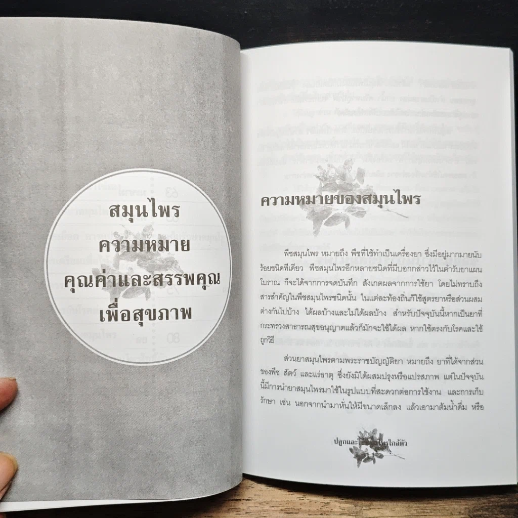 หนังสือ ปลูกและใช้สมุนไพรใกล้ตัว รูปที่ 8