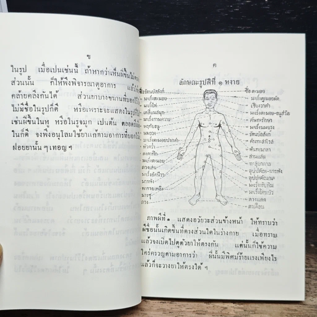 หนังสือ ตำรายาโบราณ ฉบับแผนโบราณ ยาแก้ฝีร้ายต่าง ๆ มีรูปแสดง ยาแก้ลมมีพิษ กับ ยาแก้โรคต่าง ๆ รวมยา 321 ขนาน รูปที่ 15