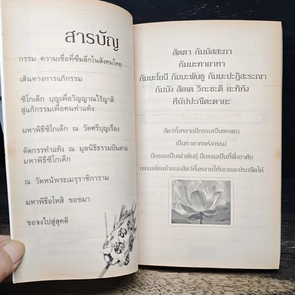 หนังสือ มหาพิธีซิโกเด็ก ส่งวิญญาณล้างกรรม รูปที่ 7