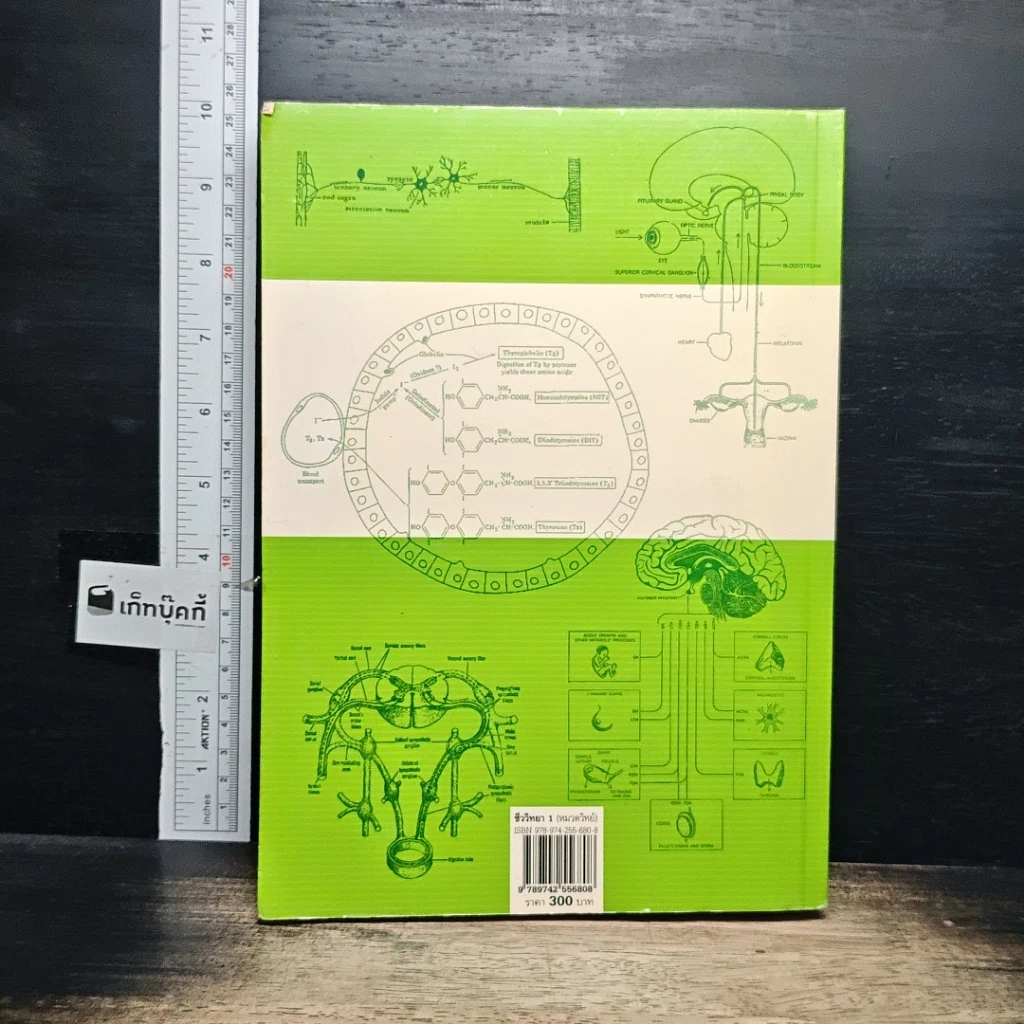 หนังสือ ชีววิทยา 1 รูปที่ 2