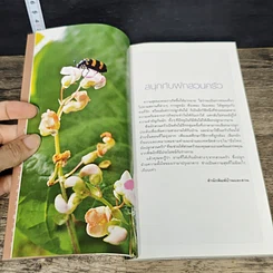 หนังสือ มือใหม่หัดปลูกสวนครัว รูปที่ 7
