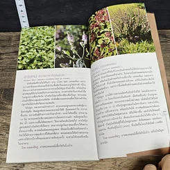 หนังสือ มือใหม่หัดปลูกสวนครัว รูปที่ 9
