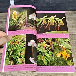 หนังสือ คู่มือกล้วยไม้ รูปที่ 8