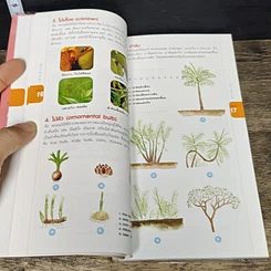 หนังสือ มือใหม่หัดปลูก รูปที่ 7