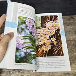 หนังสือ มือใหม่หัดปลูกกล้วยไม้ รูปที่ 8