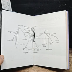 หนังสือ ค้างคาว รูปที่ 6