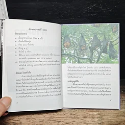 หนังสือ ค้างคาว รูปที่ 8