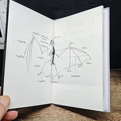 หนังสือ ค้างคาว รูปที่ 6
