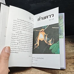 หนังสือ ค้างคาว รูปที่ 7