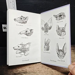 หนังสือ ค้างคาว รูปที่ 9
