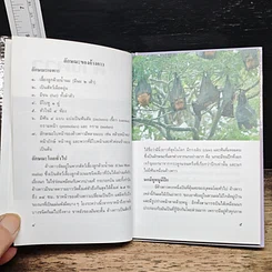 หนังสือ ค้างคาว รูปที่ 8