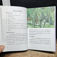 หนังสือ ค้างคาว รูปที่ 8